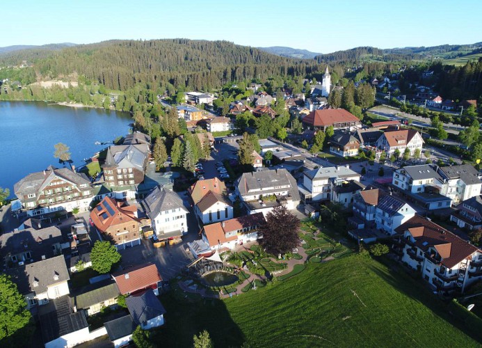 Luftbild Haus Seebachtal unten rechts vor der Wiese